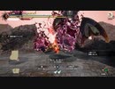 非狂化「特別討究ナズチ」盟友オトモ無しソロ双剣(6分59秒)