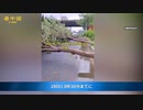 暴風雨で街路樹が全滅　台風5号が中国の福建省に上陸　4億元以上の経済損失をもたらした
