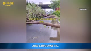 暴風雨で街路樹が全滅　台風5号が中国の福建省に上陸　4億元以上の経済損失をもたらした