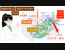 慢性疲労症候群・ブレインフォグのメカニズムと治療の作用点