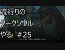 【実況】流行りのダークソウルやるpart25【DARKSOULS】