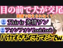 やっぱり交尾の話をする伏見ガクと、深夜テンションすぎるリスナーたち