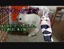 【ゼルダの伝説Totk Part2】コログ見つけた！後は自由に遊ぶだけだ！