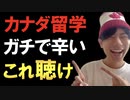【洋楽】留学で心が折れそうなときに聴くべき曲ベスト5