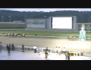 2023年7月31日盛岡競馬12R 第24回フェアリーカップ(準重賞・牝馬) ゴールデンヒーラー
