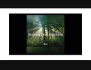 11th Single「Nothing Dear Anything」