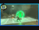 【ゼルダの伝説 ティアーズ オブ ザ キングダム】空と地底と大地と呪われし右腕。 #62【実況】