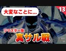 【ミンサガリマスター】真サル戦！10時間対策して負けるヤツなんていないよな～？【計7周目 実況】#13