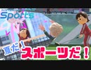 夏だしスポーツしようぜ！【Switch Sports】