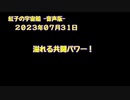 紅子の宇宙船 －音声版－ 2023年07月31日