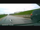 ItemFix-d685308408.mp4.6473c4165ea5a