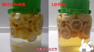 【食材加工】レモンの外皮を使ったのだから果肉の部分もしっかりと使い切りましょうか(レモンの漬け込み果実酒)【ゆっくり音声】