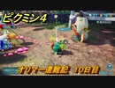 ピクミン４　オリマー遭難記　１０日目　メインミッション攻略　＃１７８　【Pikmin 4】