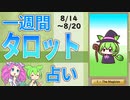 【8/14～20全体運勢占い】ずんだもんとめたんの一週間タロット占い【2023年版】
