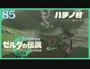#085【ゼルダの伝説ティアーズオブザキングダム】ちょっと世界を翔けてくる【実況プレイ】