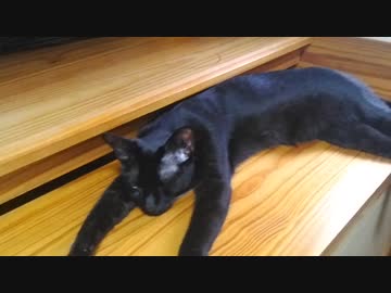 あつさでとけるこま