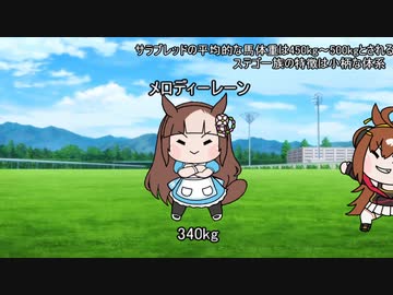 【ウマ娘たぬき】レーンちゃんと学ぶステゴ一族の大きさ比較