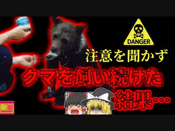 【2019年】警告を無視し子熊をペットとして飼育していた男性 飼っていた猟犬共々骨になって発見される…『メンブラーヒグマ襲撃事件』【ゆっくり解説】
