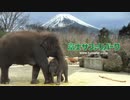 富士サファリパークCMソング(カラオケ字幕)off vocal