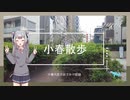 【お散歩】小春散歩 ～池袋みらい館大明編～【#毎月6日はTOKYO6の日】
