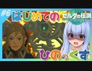 【ゼルダの伝説TotK】自称ゼルダのプロ葵ちゃんは、広大な世界も楽々救ってみせます！#6