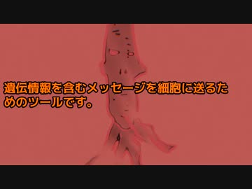 mRNAワクチンとは