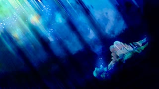 水槽 / feat.初音ミク