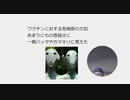 ワクチンに対する危機感の欠如　 あまりにもの愚鈍さに 一瞬バッタやカマキリに見えた　#テレビ脳