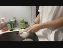 【ゆばニャン コメ無】片付けとかしたい。2023年7月28日