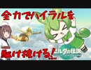 RTA走者が全力で駆け抜けるハイラル！【ゼルダの伝説 ティアーズ オブ ザ キングダム】