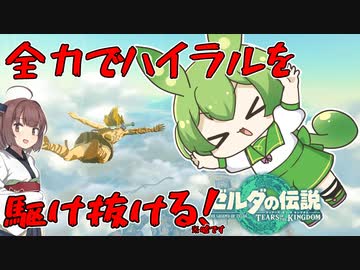 RTA走者が全力で駆け抜けるハイラル！【ゼルダの伝説 ティアーズ オブ ザ キングダム】
