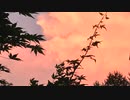 夏の終り　(小田和正)