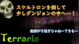 Terraria】スケルトロンあっさり倒せれた＾＾少しダンジョン探索！"9