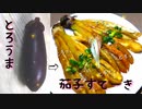 とろ旨やめられない！茄子ステーキの作り方★