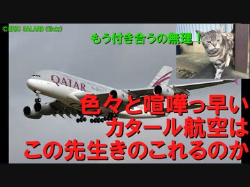 迷航空列伝列伝　カタール航空はこの先生きのこれるのか【後編】