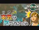 【ゼルダの伝説TOTK】全ての地方救ったけど気づきませんでした…【ティアキン】#80