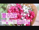 愛の花（あいみょん）を結月ゆかり麗に晴れやかに歌ってもらった／CeVIO AI 耳コピカバー