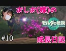 【嫁とゼルダ】アクション苦手なおしおのゼルダの伝説成長日記#10【ゼルダの伝説totk】
