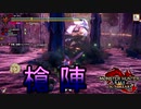 [MHR-S]いくらなんでも多すぎだろ〔２人プレイ〕～part36