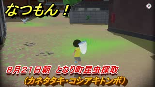 なつもん！　８月２１日朝　となり町昆虫採取（カネタタキ・コシアキトンボ）　＃１１９　【なつもん！20世紀の夏休み】