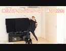 【賞味もぃ】我らステインバスターズ! 踊ってみた【オリジナル振付】