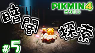 #5 もはや暗黒トンネル【ピクミン4】