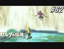 【ティアキン】何で一人で勝手に行くの⁉【ゼルダの伝説 ティアーズ オブ キングダム】実況プレイ part62