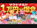 【実写神回】マック１万円分食べるまで帰れません！！！！！！