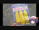 ゆっくり農民217トウモロコシを育ててみませんか？#18