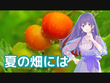 夏の畑には ／ めろう （NEUTRINO）オリジナル童謡【 ボカコレ2023夏 】