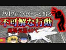 【2015年】意味不明な行動を繰り返す恐ろしい症状 …直ぐに気づかなければいけなかった『道路清掃熱中症事故』【ゆっくり解説】