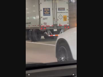 ホモと見る帰巣本能があるタイヤ