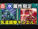 遊戯王で闇のゲームをしてみたR　その70【なおりん】VS【チマ】