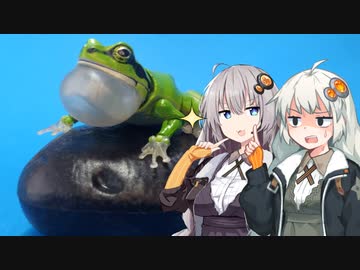 【カプセルトイ】あかりちゃんwithオンライン【いきもの大図鑑アドバンス　アマガエル】